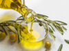 Get creative with olive oil: Chef Kathy Gunst shares tales and recipes from Italy’s ancient trees